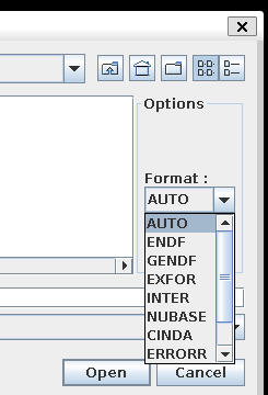 JANIS File Open dialog with the Format list open, showing AUTO, ENDF, GENDF, EXFOR, INTER, NUBASE, CINDA and ERRORR